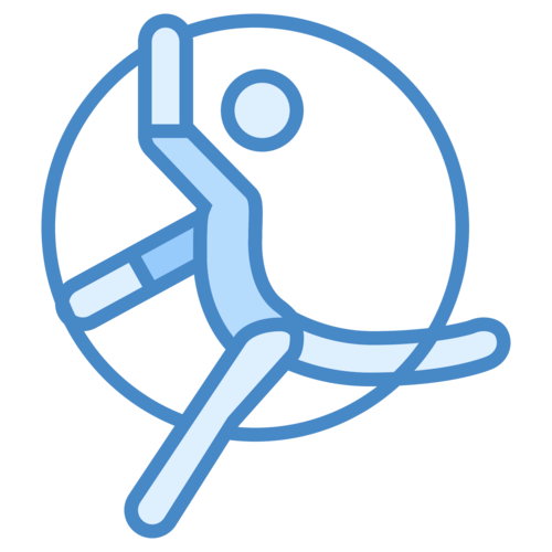 广东臣盾体育用品有限公司